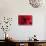 Blood Vessel, Artwork-David Mack-Stretched Canvas displayed on a wall