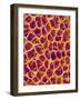 Blood Vessel Cast from Colon of a Rat-Micro Discovery-Framed Photographic Print