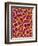 Blood Vessel Cast from Colon of a Rat-Micro Discovery-Framed Photographic Print