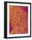 Blood Vessel Cast from Rat Colon-Micro Discovery-Framed Photographic Print