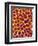 Blood Vessel Cast from Stomach of a Rat-Micro Discovery-Framed Photographic Print