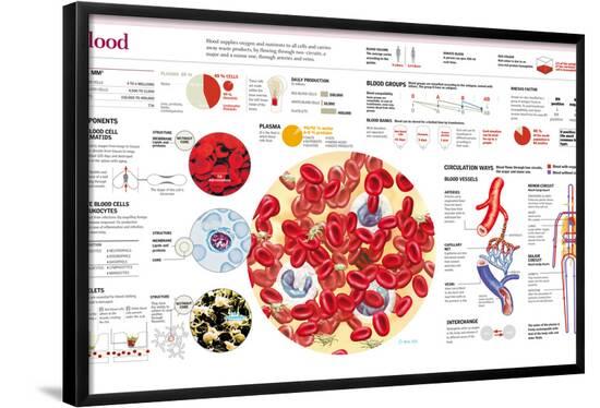 Poster, , large