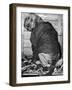 Bloodhound 1969-Birmingham Post Mail Archive-Framed Photographic Print