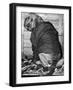 Bloodhound 1969-Birmingham Post Mail Archive-Framed Photographic Print