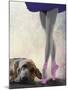 Bloodhound and Ballet Dancer-Fab Funky-Mounted Art Print