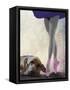Bloodhound and Ballet Dancer-Fab Funky-Framed Stretched Canvas