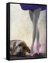 Bloodhound and Ballet Dancer-Fab Funky-Framed Stretched Canvas