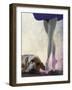 Bloodhound and Ballet Dancer-Fab Funky-Framed Art Print