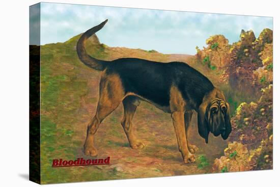 Bloodhound Champion-null-Stretched Canvas