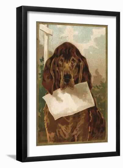 Bloodhound Holding Blank Paper in its Mouth-null-Framed Art Print