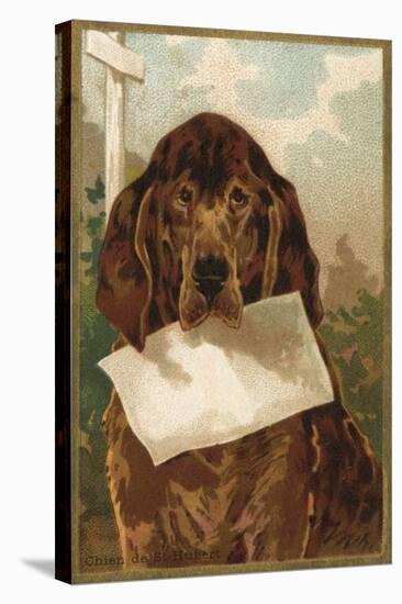 Bloodhound Holding Blank Paper in its Mouth-null-Stretched Canvas