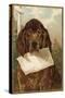 Bloodhound Holding Blank Paper in its Mouth-null-Stretched Canvas