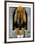 Bloodhound in Doghouse-Paul Bransom-Framed Giclee Print