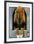 Bloodhound in Doghouse-Paul Bransom-Framed Giclee Print