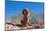 Bloodhound in the Sonoran Desert-Zandria Muench Beraldo-Mounted Photographic Print