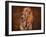 Bloodhound Portrait-Jai Johnson-Framed Giclee Print