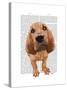 Bloodhound Puppy-Fab Funky-Stretched Canvas