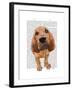 Bloodhound Puppy-Fab Funky-Framed Art Print