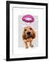 Bloodhound with Angelic Pink Halo-Fab Funky-Framed Art Print