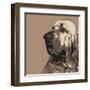 Bloodhound-Emily Burrowes-Framed Art Print