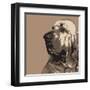 Bloodhound-Emily Burrowes-Framed Art Print