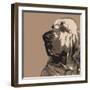 Bloodhound-Emily Burrowes-Framed Art Print