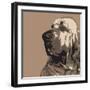 Bloodhound-Emily Burrowes-Framed Art Print
