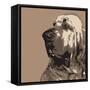 Bloodhound-Emily Burrowes-Framed Stretched Canvas