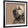 Bloodhound-Emily Burrowes-Framed Art Print