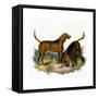 Bloodhounds, Astle-null-Framed Stretched Canvas