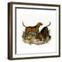 Bloodhounds, Astle-null-Framed Giclee Print