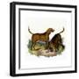 Bloodhounds, Astle-null-Framed Giclee Print