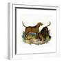 Bloodhounds, Astle-null-Framed Giclee Print