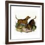 Bloodhounds, Astle-null-Framed Giclee Print
