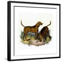 Bloodhounds, Astle-null-Framed Giclee Print