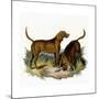 Bloodhounds, Astle-null-Mounted Giclee Print