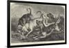 Bloodhounds on the Trail-George Bouverie Goddard-Framed Giclee Print