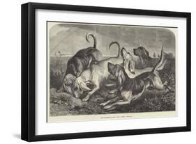 Bloodhounds on the Trail-George Bouverie Goddard-Framed Giclee Print