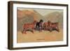 Bloodhounds-Thomas Ivester Llyod-Framed Art Print