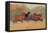 Bloodhounds-Thomas Ivester Llyod-Framed Stretched Canvas