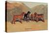 Bloodhounds-Thomas Ivester Llyod-Stretched Canvas