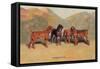 Bloodhounds-Thomas Ivester Llyod-Framed Stretched Canvas