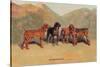 Bloodhounds-Thomas Ivester Llyod-Stretched Canvas