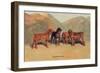 Bloodhounds-Thomas Ivester Llyod-Framed Art Print