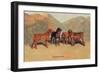 Bloodhounds-Thomas Ivester Llyod-Framed Art Print