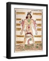 Bloodletting Chart, 1493-Johannes De Ketham-Framed Giclee Print