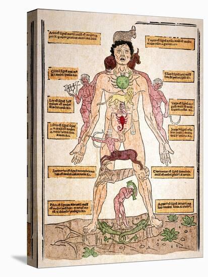 Bloodletting Chart, 1493-Johannes De Ketham-Stretched Canvas