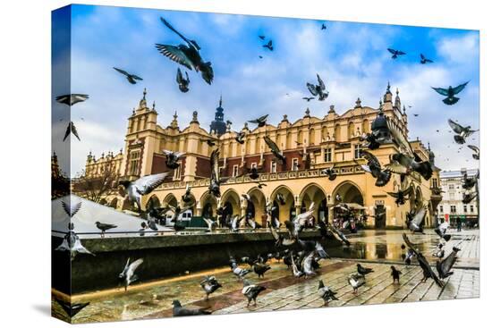 Stretched Canvas Print, , large