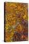 Bloody Basin Agate, AZ-Darrell Gulin-Stretched Canvas