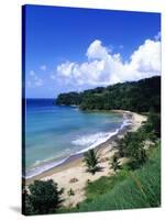 Bloody Bay, Tobago, Caribbean-Angelo Cavalli-Stretched Canvas